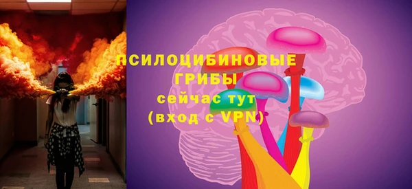 ешки Зерноград
