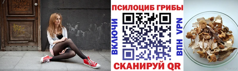 Купить закладки  Менделеевск  Галлюциногенные грибы мухоморы 